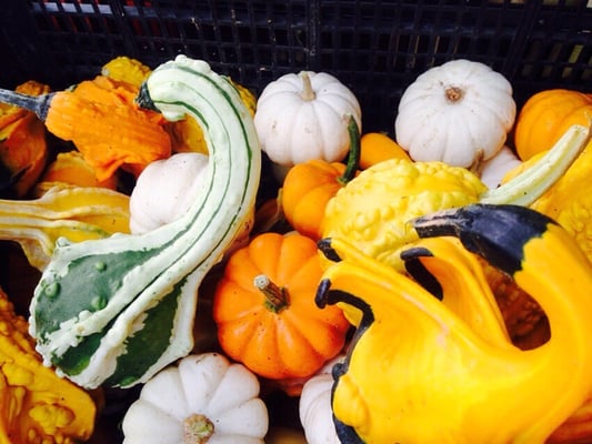 Staunton Farmers' Market by null