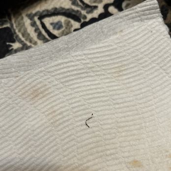 Slice House by Tony Gemignani - Found small metal piece in my mouth while eating my bucatini pasta. - Pizza Near Me - Walnut Creek, California Slice House by Tony Gemignani - Found small metal piece in my mouth while eating my bucatini pasta. - Pizza Near Me - Walnut Creek, California