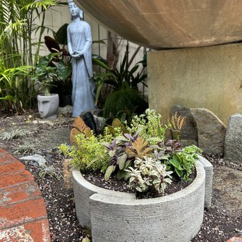 Andersons La Costa Nursery - Modern pot with cooking herbs - Nurseries & Gardening Near Me - Encinitas, California Andersons La Costa Nursery - Modern pot with cooking herbs - Nurseries & Gardening Near Me - Encinitas, California