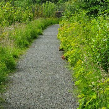 Lowell Riverfront Park - Path in woodlands. Can you see the bunnies? - Parks Near Me - Everett, Washington Lowell Riverfront Park - Path in woodlands. Can you see the bunnies? - Parks Near Me - Everett, Washington