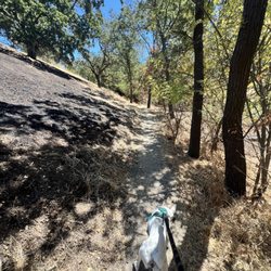 Sugarloaf Open Space