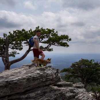 Hanging Rock State Park - Bliss - Parks Near Me - Westfield, North Carolina