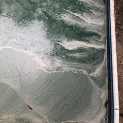 Swain Pools & Spas - This is what $90 worth of chemicals and a $79 monthly fee will get you with Swain- 1 weeks worth of service.