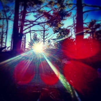 Reiki Solution - Balsam Forest, Mt Mitchell - Reiki Near Me Reiki Solution - Balsam Forest, Mt Mitchell - Reiki Near Me