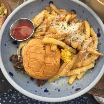 Salty Horse - Cafes Near Me - Costa Mesa, California Salty Horse - Cafes Near Me - Costa Mesa, California