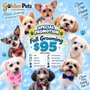 Golden Pets Grooming