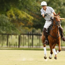 Polo Elite - Learn to play polo in Buenos Aires