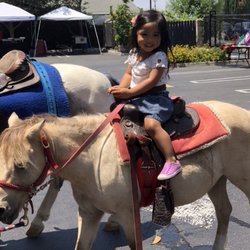 Heritage Montessori School of Huntington Beach - Camp Heritage Hoedown 2018