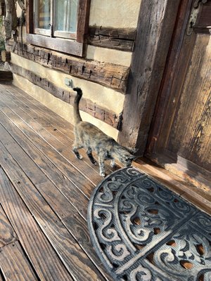 Barons CreekSide by null