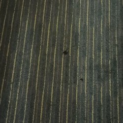 Quality Inn Rosemead-Los Angeles