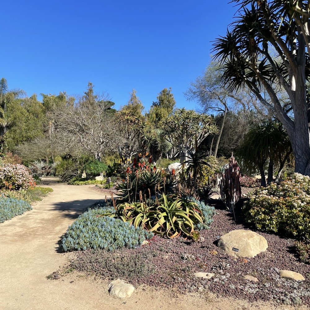 Seaside Gardens - Great to walk around and enjoy all the plants - Nurseries & Gardening Near Me - Carpinteria, California