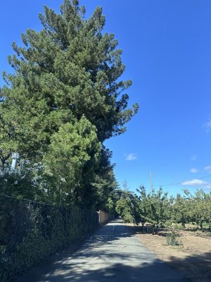 Novakovich Orchards by null
