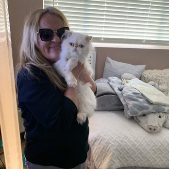 Kingsley Kittens - I'm so happy that I have Baby Blue she is a beautiful loving kitten thank you so much Jeanie. - Pet Breeders Near Me