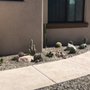 Photo of Shannon’s Custom Landscape & Garden Design