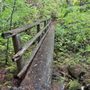 Photo of Tamolitch Blue Pools