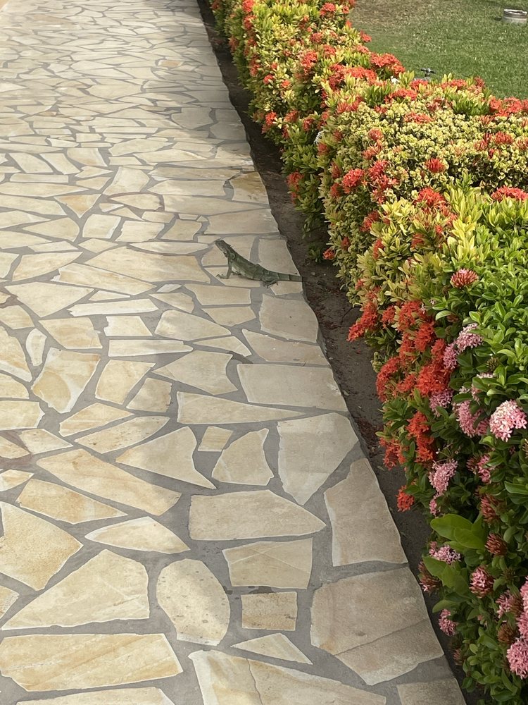 Manchebo Besch & Resort