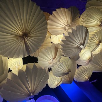 Sushi by Scratch Restaurants - Ceiling interior - Sushi Bars Near Me - Seattle, Washington