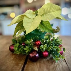 Harborview Market - Holiday Decor throughout