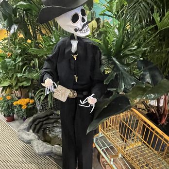 Latinx With Plants - Nurseries & Gardening Near Me - Los Angeles, California