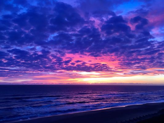 Hilton Garden Inn Outer Banks/Kitty Hawk by null