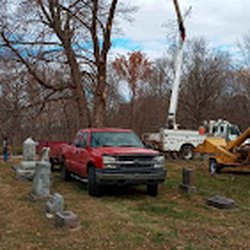 Shawn Ault's Tree Service