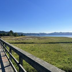 Yaquina Bay Estuary Trail - Yaquina Estuary