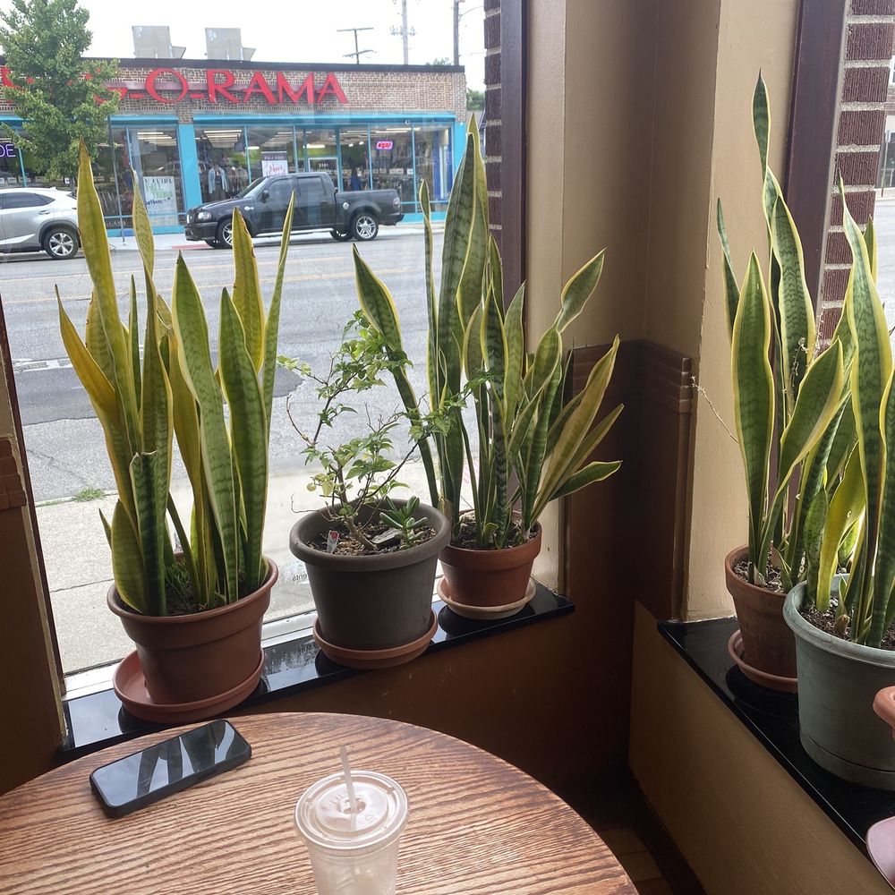 Cornerstone Deli & Café - cozy corner seat - Delis Near Me - Columbus, Ohio Cornerstone Deli & Café - cozy corner seat - Delis Near Me - Columbus, Ohio