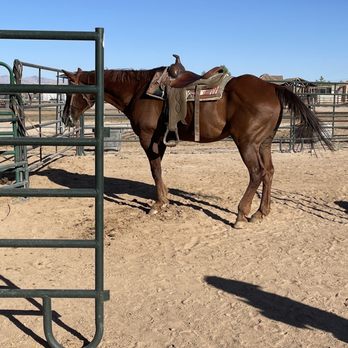Wild West Horseback Adventures - Horseback Riding Near Me - Las Vegas, Nevada Wild West Horseback Adventures - Horseback Riding Near Me - Las Vegas, Nevada
