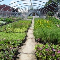 Russell Gardens Center
