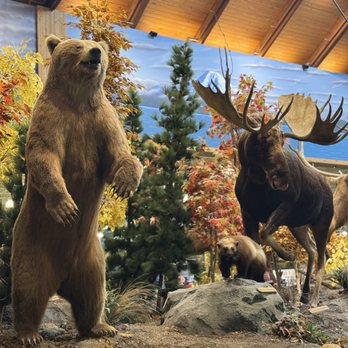 Cabela's - Outdoor Gear Near Me - Tulalip, Washington Cabela's - Outdoor Gear Near Me - Tulalip, Washington