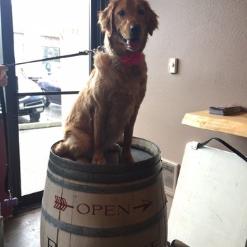 Landon loved Barrage cellars!