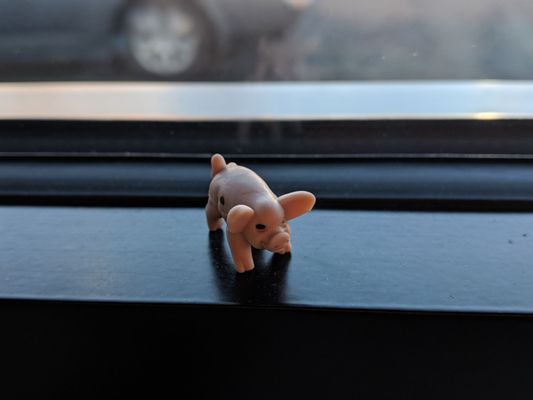 Streetcar 82 Brewing Co. by null