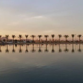 Riverview Park - Great sunset over the palms during the park's first week.  Beautiful park for walks. - Parks Near Me - Mesa, Arizona
