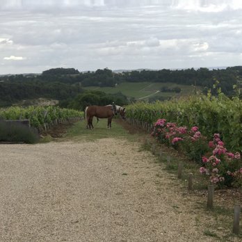 Château Troplong Mondot - Wineries Near Me - Saint Emilion, 33