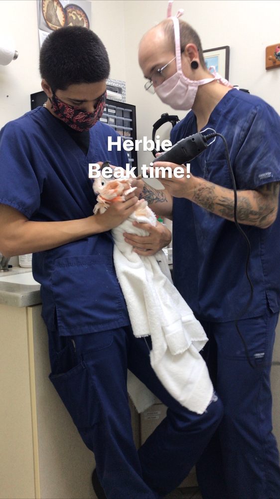 EXOTIC BIRD HOSPITAL 26 Photos & 30 Reviews 8820 Old Kings Rd S