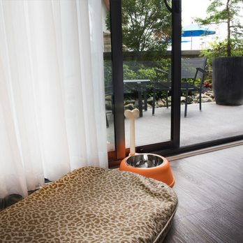 Qualicum Beach Inn - Pet-friendly guest rooms available with enclosed patio area - Venues & Event Spaces Near Me - Qualicum Beach, British Columbia Qualicum Beach Inn - Pet-friendly guest rooms available with enclosed patio area - Venues & Event Spaces Near Me - Qualicum Beach, British Columbia