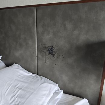 River House Inn, a Baymont by Wyndham - Scratched headboard material. - Hotels Near Me - Florence, Oregon
