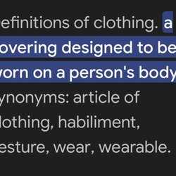 Francesca's Collections - Definition of clothing