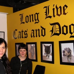 Long Live Cats and Dogs