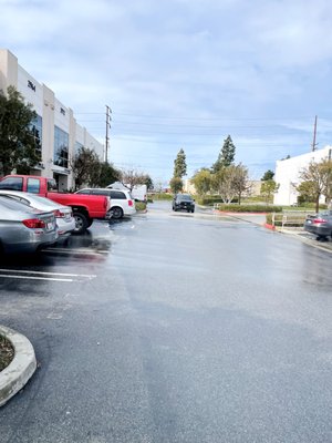 Scholb Premium Ales by null