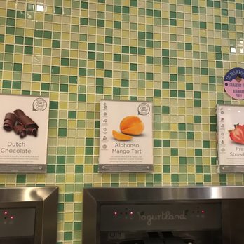 Yogurtland - Flavors Dutch chocolate, mango tart, strawberry - Ice Cream & Frozen Yogurt Near Me - Garland, Texas Yogurtland - Flavors Dutch chocolate, mango tart, strawberry - Ice Cream & Frozen Yogurt Near Me - Garland, Texas