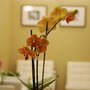 Photo of Great Park Dental