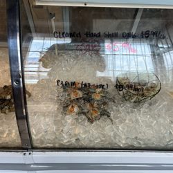 Fishy Fish Market
