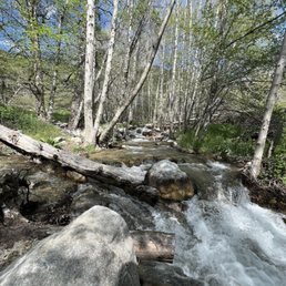 Creek Creek