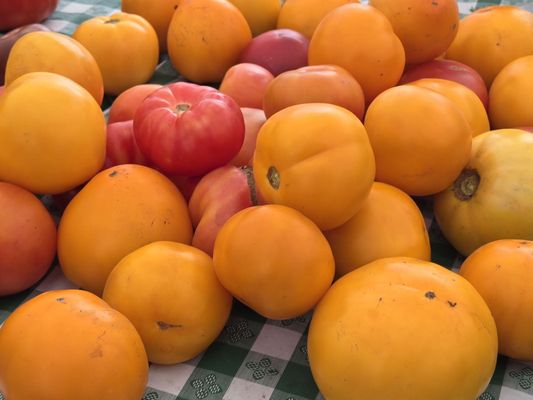 Sellwood Moreland Farmers Market by null