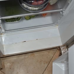 Hilton Head Rentals & Golf - Broken Refrigerator