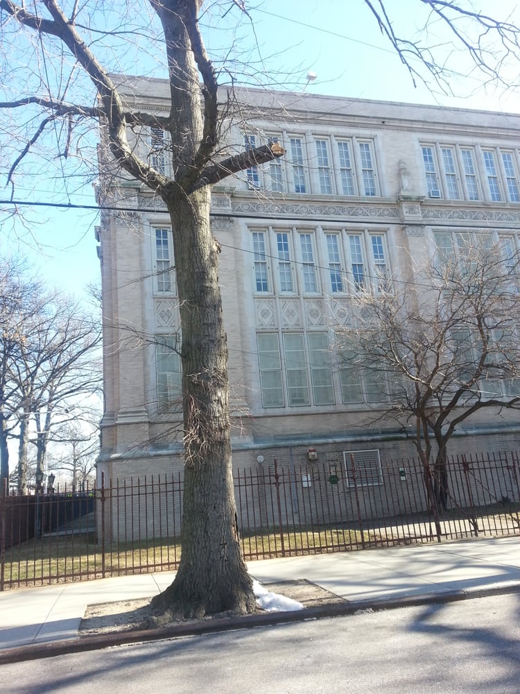SAMUEL J. TILDEN HIGH SCHOOL Middle Schools & High Schools 5800