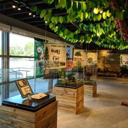 PoCo Heritage Museum and Archives - Join us in exploring the Carol Hubbard Memorial Natural History Exhibit: The Secret Life of Trees. On display Aug 2018 - Aug 2019.