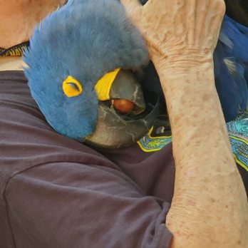 Nancy Forrester's Secret Garden - Animal Shelters Near Me - Key West, Florida