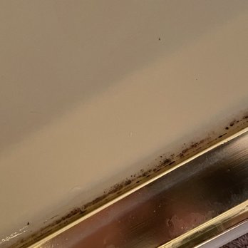 House Cleaning Maids - Dirt and molds on the shower door. - Home Cleaning Near Me - Menlo Park, California
